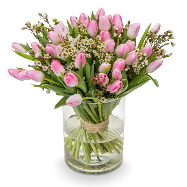 Bouquet of tulips